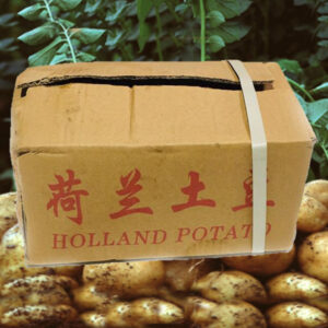 Kentang Holland box